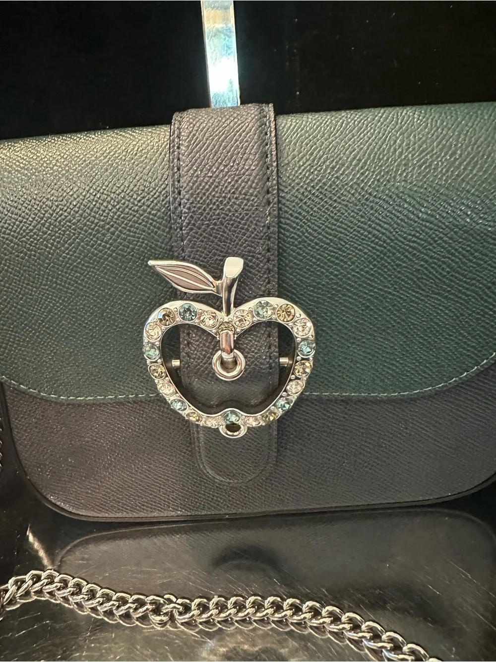 Coach #271 Gemma Crossbody  Bag  in Colorblock  with Crystal Apple 🍏 Buckle